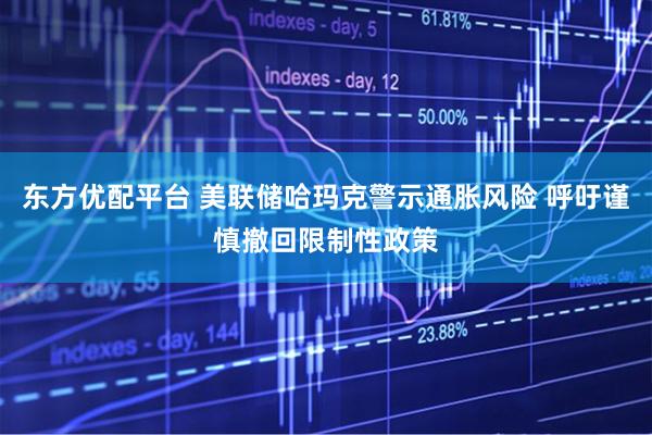 东方优配平台 美联储哈玛克警示通胀风险 呼吁谨慎撤回限制性政策
